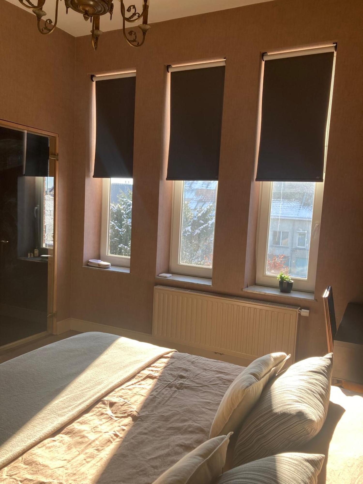 Maison Stout Hasselt Eksteriør billede